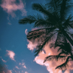 How To Use This Summer To Its Highest Potential