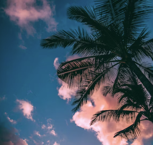 Read more about the article How To Use This Summer To Its Highest Potential