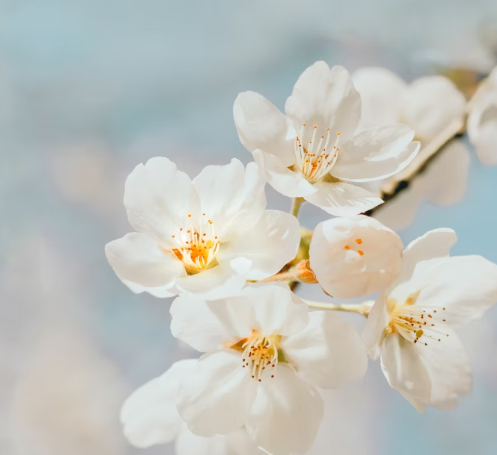 Read more about the article How To Revive A Good Habit That You Quit