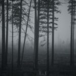 How To Beat The Haunting Feeling of Nostalgia