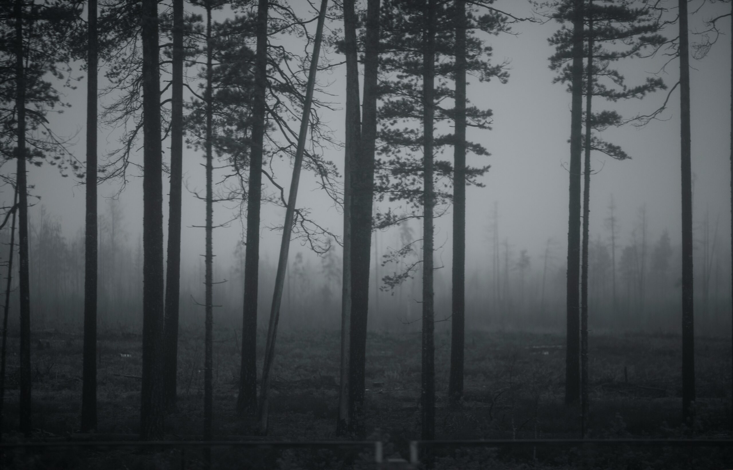 Read more about the article How To Beat The Haunting Feeling of Nostalgia
